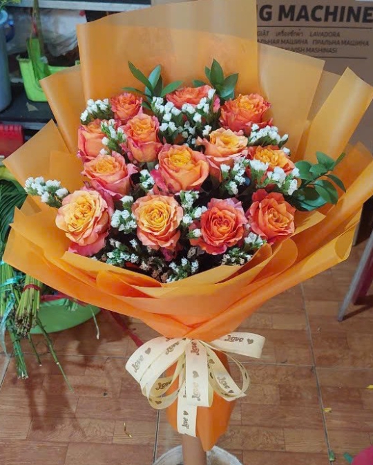 BÓ HỒNG CAM