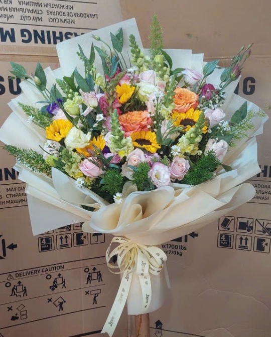 BÓ HỒNG HƯỚNG DƯƠNG