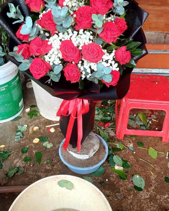 BÓ HỒNG TẶNG THẦY 