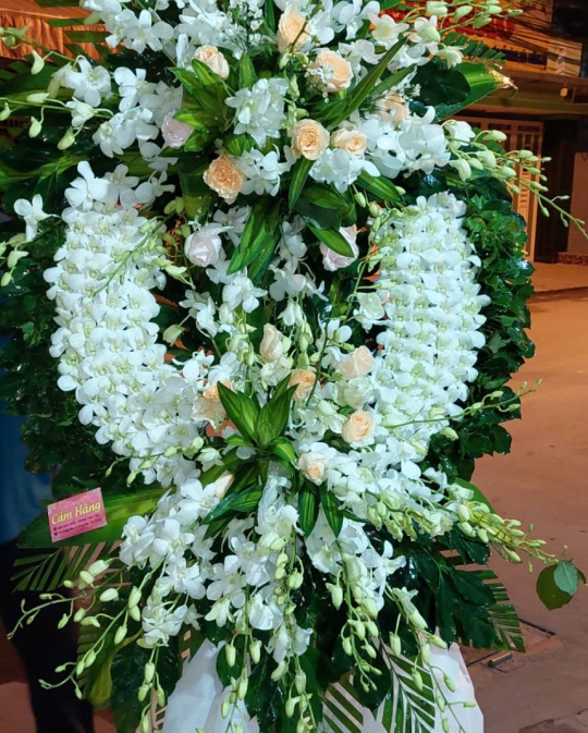 HOA CHIA BUỒN TRẮNG
